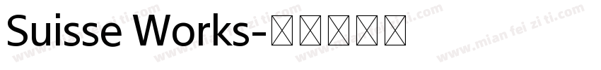 Suisse Works字体转换